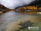 【畢棚溝米亞羅二日游】畢棚溝+米亞羅紅葉 品質純玩＜成都往返＞