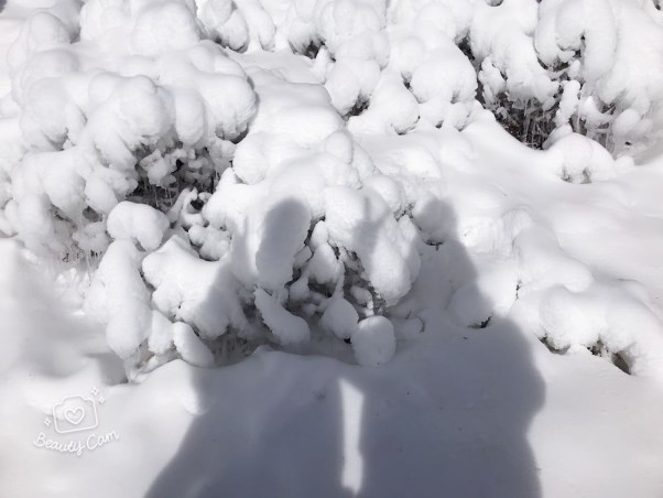 鷓鴣山2.jpg