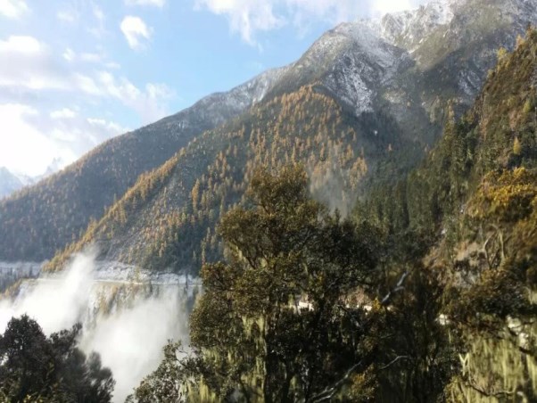 稻城亞丁旅游