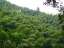 【成都出發(fā)】蜀南竹海二天一晚 - 參團(tuán)游＜雙汽＞
