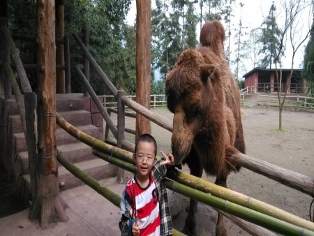 碧峰峽旅游