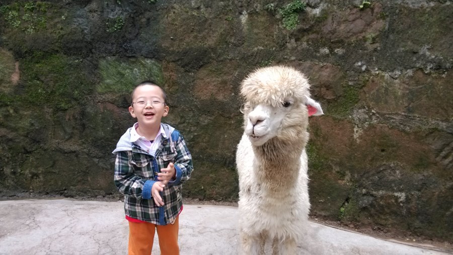 碧峰峽旅游