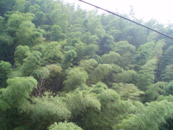 劉宇-20141125-15.jpg
