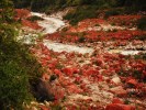 【海螺溝環線純玩六日游】海螺溝-康定-新都橋-丹巴-四姑娘山-米亞羅-桃坪羌寨＜雙汽＞